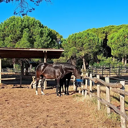 Mareblu - Tuscany Lejlighedshotel 3*